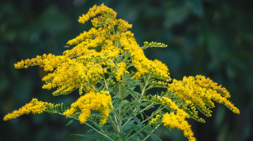 Фото pinsk.brest-region.gov.by