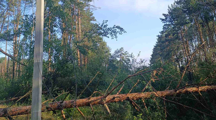 Фото РУП "Брестэнерго"