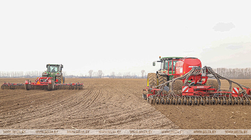 Аграрии Брестской области выборочно начали сев ранних яровых зерновых