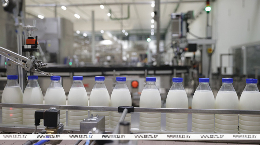 Мінсельгасхарч скарэкціраваў гранічныя мінімальныя цэны на мяса і малочную прадукцыю