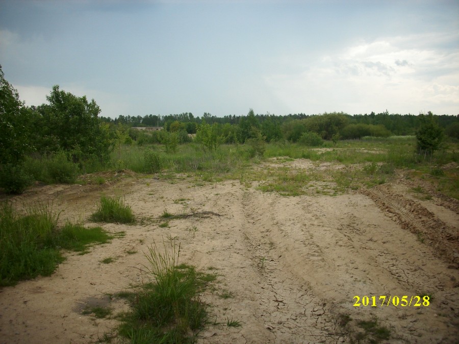 Lyahovichi town, 15, Trudovaya str. (behind the production facilities of State Unitary Manufacturing Enterprise Lyahovichskoe PMS (PMS - enterprise for reclamation works)