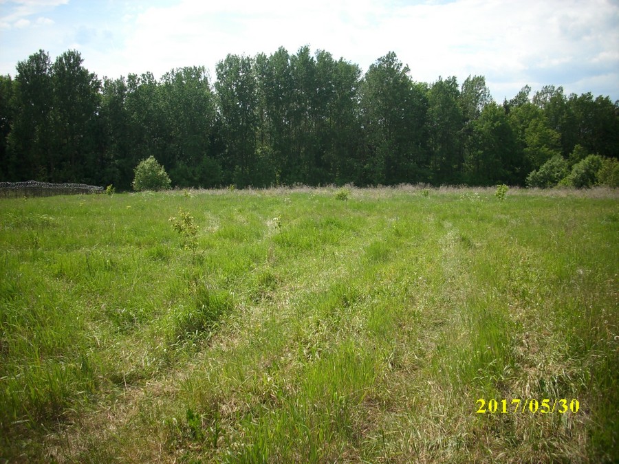 Agro-town Rusinovichi