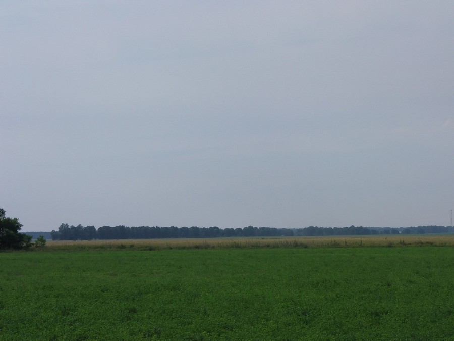 50 m to the south of Zburazh village (former brick plant)