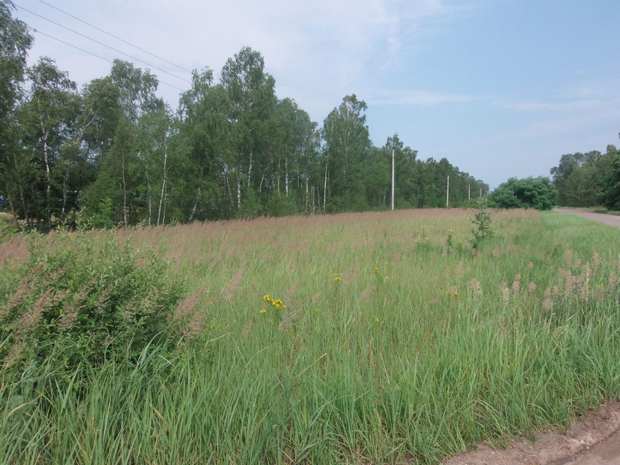 2 km to the east of Soushitnitsa village (former manufacturing area)