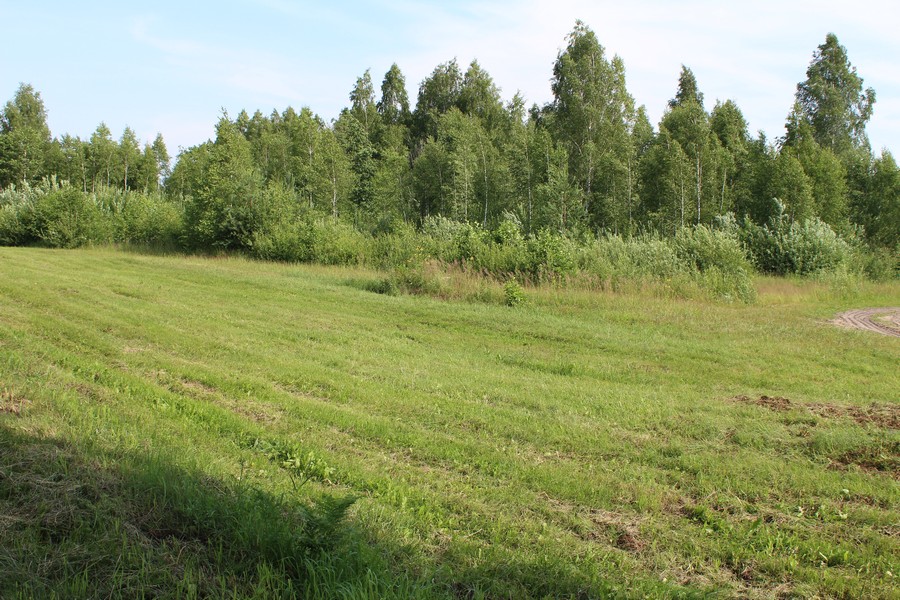 ulitsa Promyshlenaya, 12