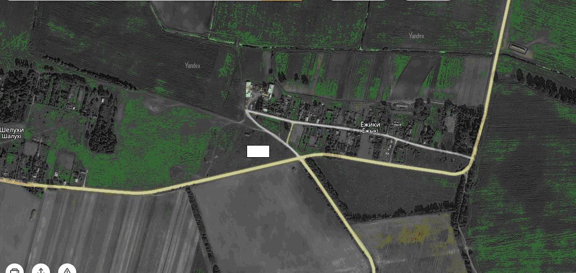 To the west of Ezhyki village, Leninskiy village council